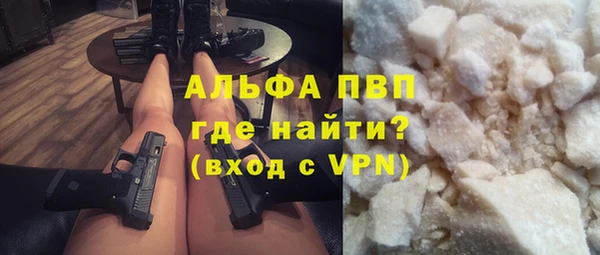 прущие грибы Тобольск