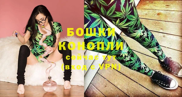прущие грибы Тобольск
