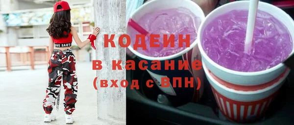 прущие грибы Тобольск